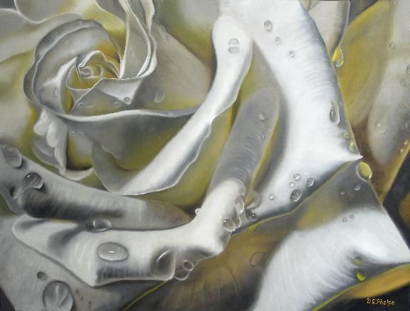 576x437 White Rose Oil Painting Using A Multilayered Painting Technique - White Rose Oil Painting