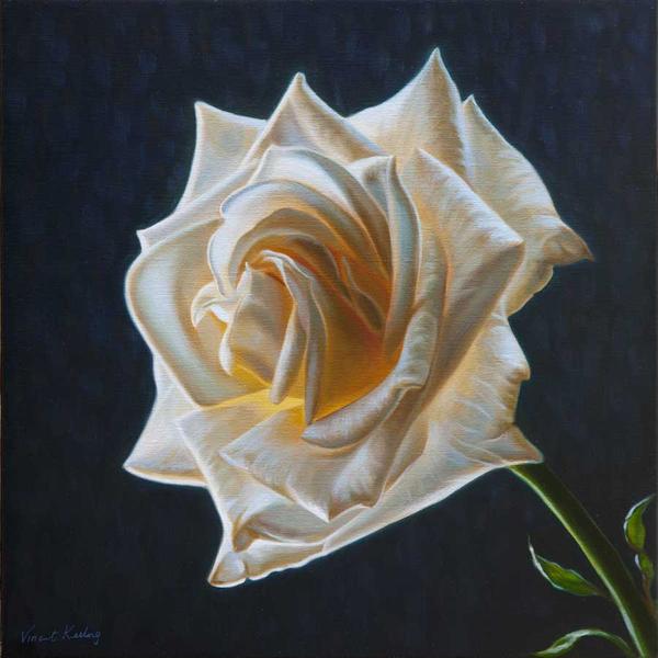 600x600 Grace - White Rose Oil Painting