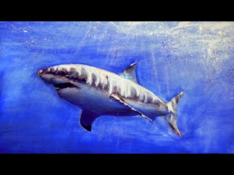 480x360 Great White Shark Watercolor Painting - White Shark Painting