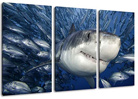 450x323 Great White Shark Painting On Canvas, 3 Piece (Total Size 47.2 X - White Shark Painting