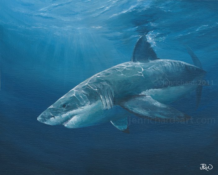 700x564 Jen Richards Art Limited Edition Great White Shark Print - White Shark Painting
