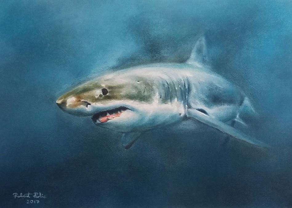 949x678 Robert Pavlic - White Shark Painting