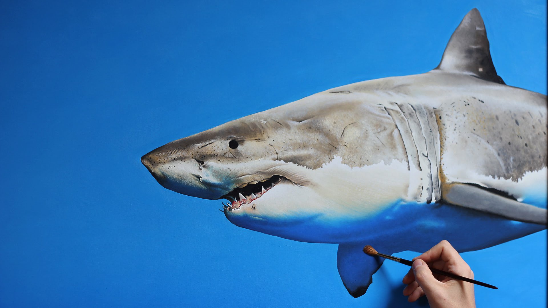 1920x1080 Shark Oil Painting On Canvas - White Shark Painting