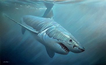 366x226 Great White Shark - White Shark Painting