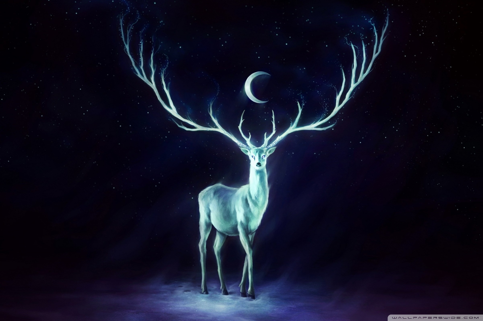 2000x1333 Stag Painting 4k Hd Desktop Wallpaper For 4k Ultra Hd Tv - White Stag Painting
