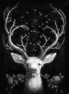 236x322 41 Best White Stag Images On Deer, Graphic Art - White Stag Painting