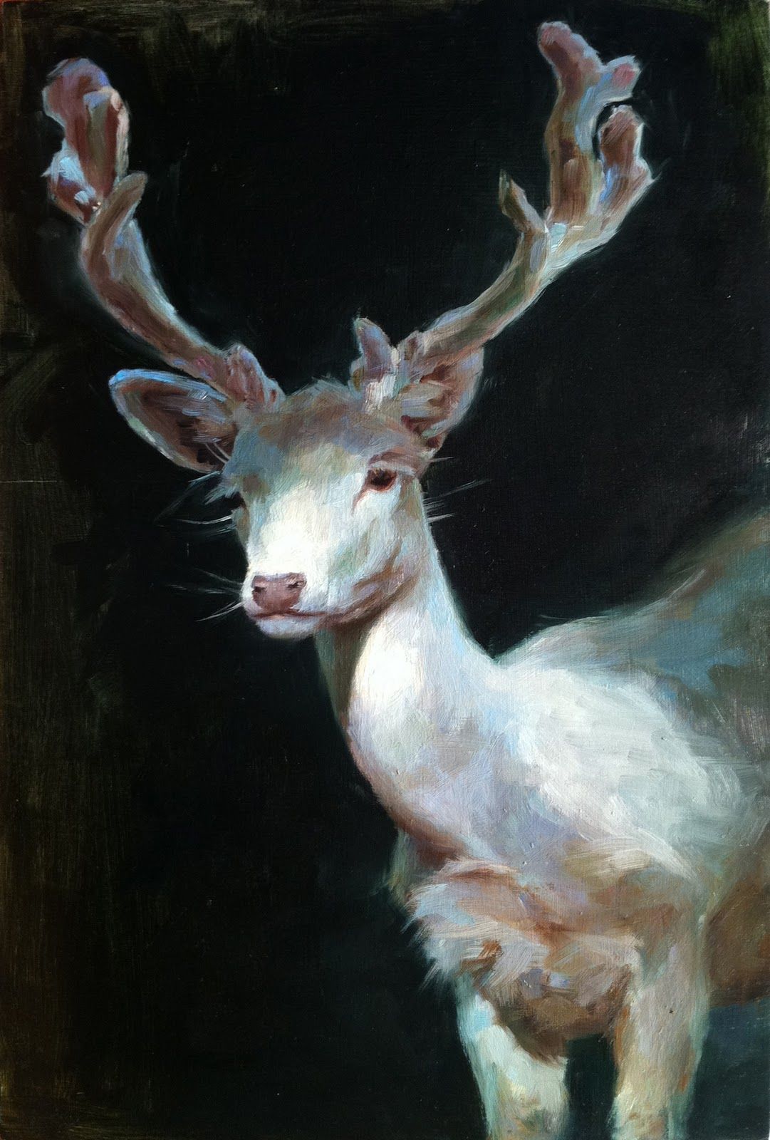 1081x1600 White Stag [Finn Shauna] Figurative Paintings Animals - White Stag Painting