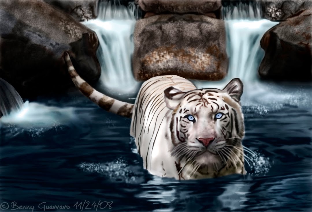 1080x736 White Tiger - White Tiger Painting