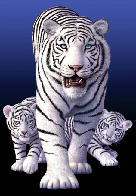 452x650 White Tigers By Jerry Lofaro - White Tiger Painting