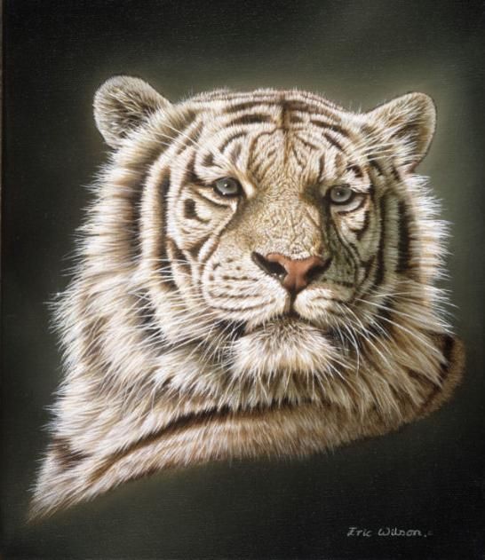 546x631 Images Of Tigers Original Painting Sold Fine Art Giclee Prints - White Tiger Painting