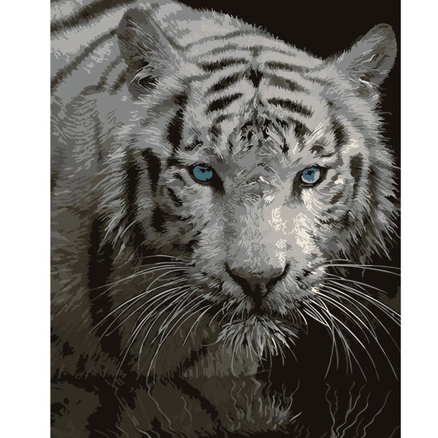 640x640 Frameless Pictures Animal White Tiger Painting By Numbers Wall - White Tiger Painting