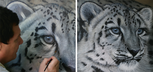 500x237 How To Paint White Tiger Fur - White Tiger Painting