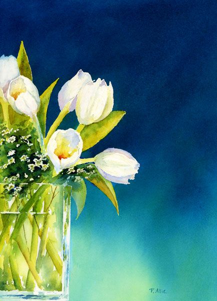 434x600 White Tulips Watercolors By Paul Alie - White Tulip Painting
