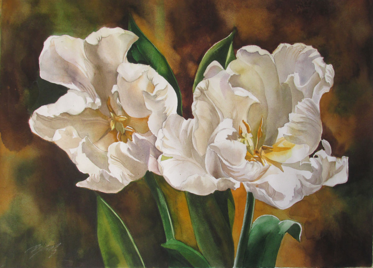 1200x863 White Parrot Tulips (Alfred Ng) - White Tulip Painting