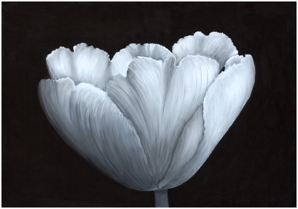 606x425 Florals Pastels White Tulip Original Modern Art Sale - White Tulip Painting