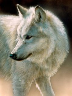 White Wolf Painting
