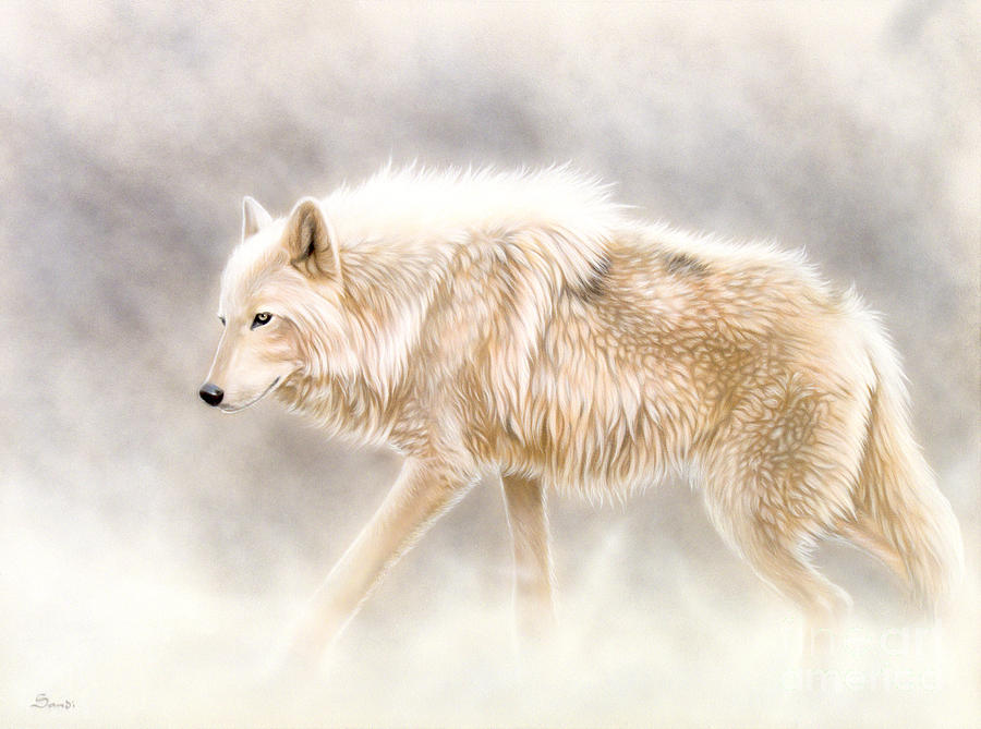 900x669 Into The Mist Painting By Sandi Baker - White Wolf Painting