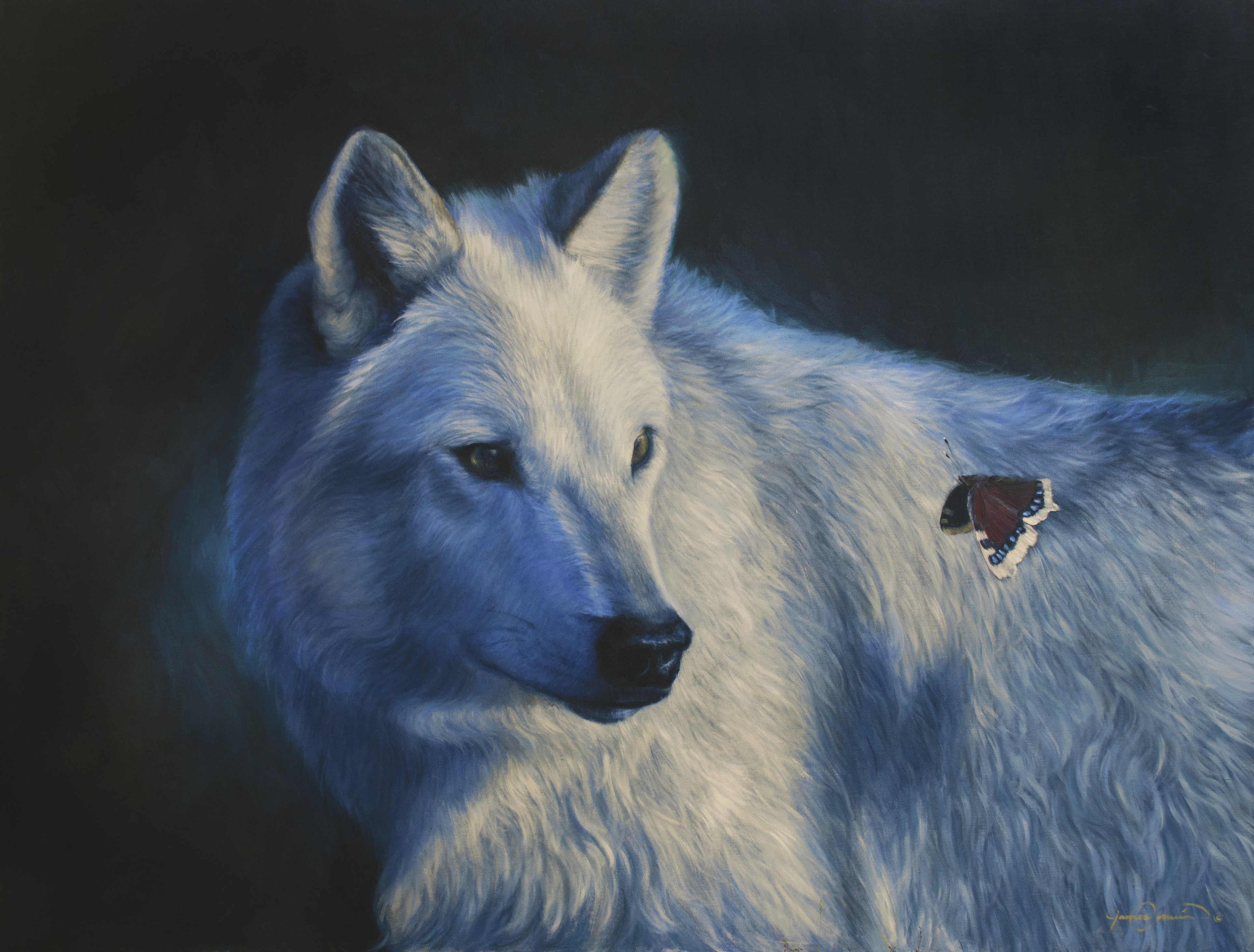 3853x2925 New White Wolf Painting By Wildlife Artist James Corwin Focus - White Wolf Painting