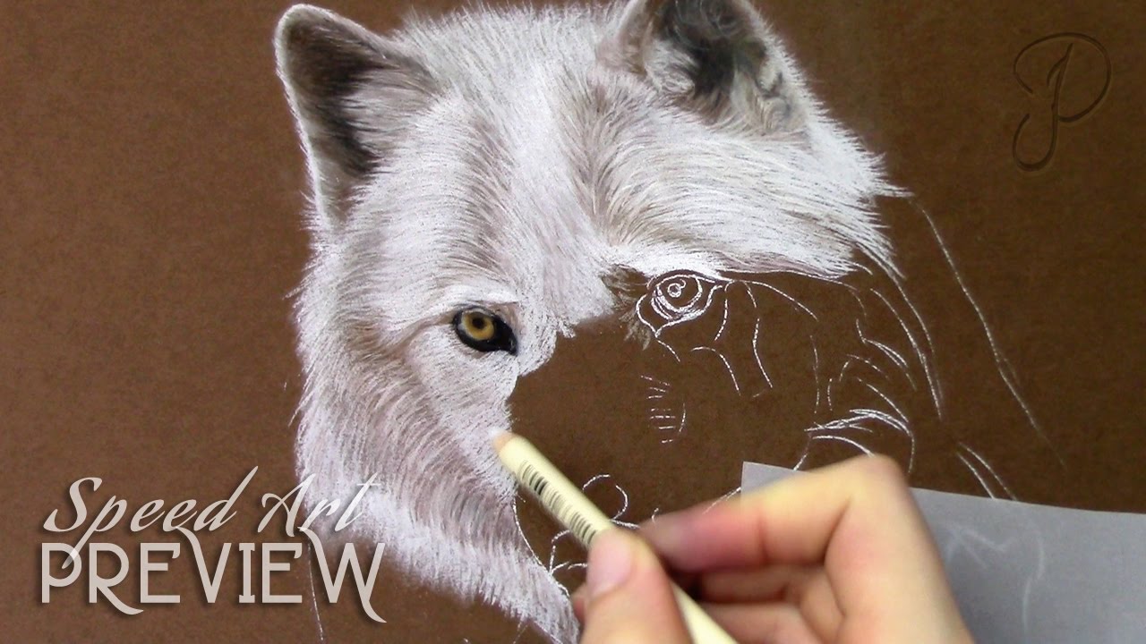 1280x720 Preview White Wolf - White Wolf Painting