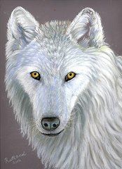 174x240 Ruth Seal - White Wolf Painting