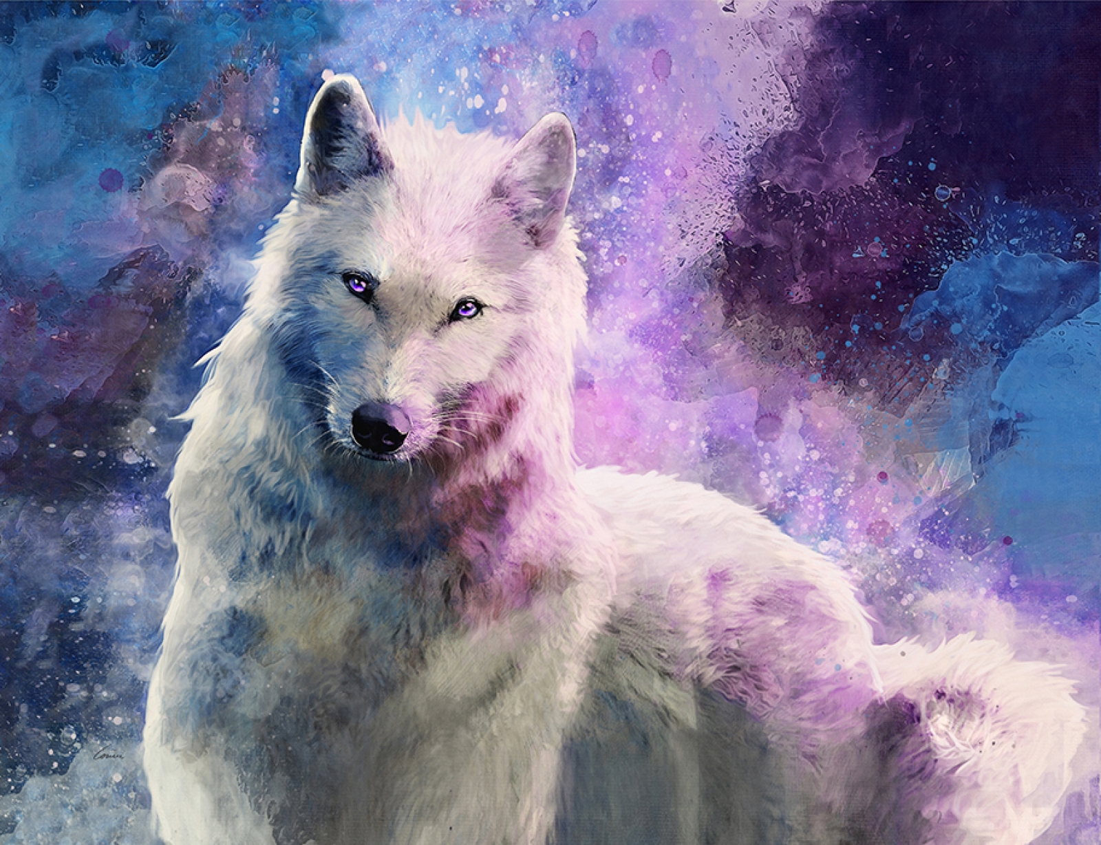 1600x1228 White Wolf Galaxy - White Wolf Painting