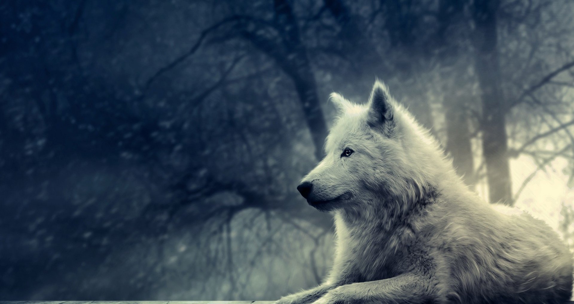 1920x1020 White Wolf Painting - White Wolf Painting