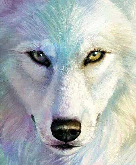 478x580 White Wolf Painting Paintings Wolf, Paintings - White Wolf Painting