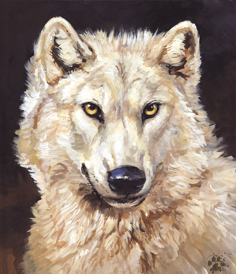 White Wolf Painting at PaintingValley.com | Explore collection of White ...