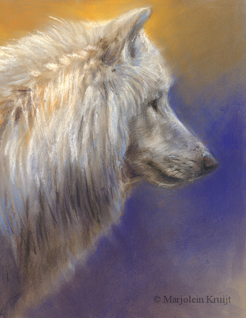 500x647 White Wolf' Study, 20x30 Cm, Pastel Painting (For Sale - White Wolf Painting