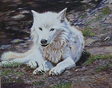 366x287 White Wolf - White Wolf Painting