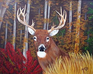 300x239 Whitetail Buck Painting By Christine Pursley - Whitetail Buck Painting