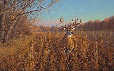 Whitetail Buck Painting at PaintingValley.com | Explore collection of ...