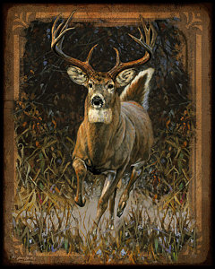 240x300 Whitetail Deer Paintings Fine Art America - Whitetail Buck Painting