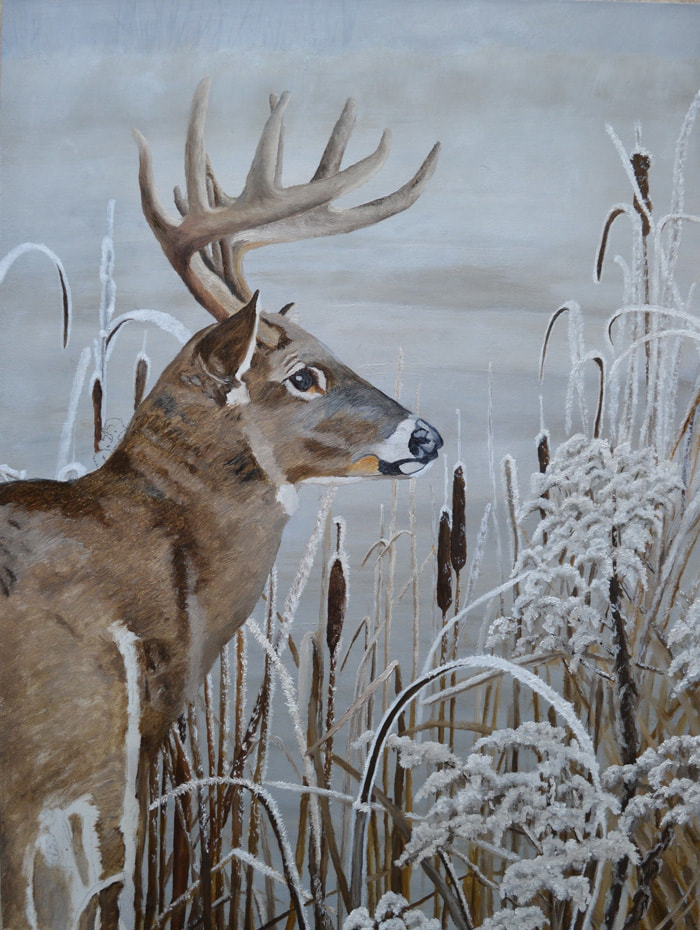 700x930 Whitetail Deer Paintings In Progress. - Whitetail Buck Painting
