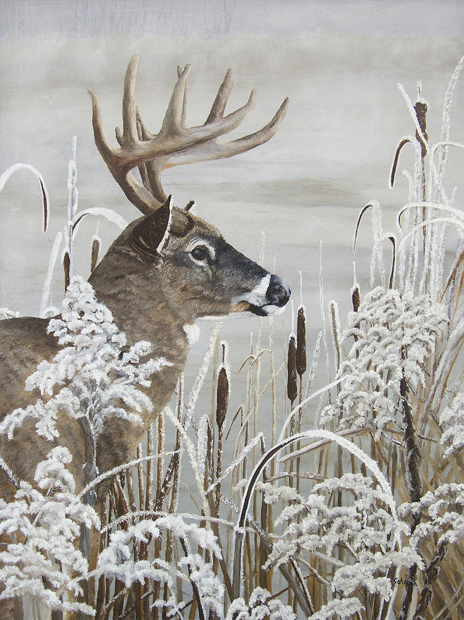 674x900 Winters Magical Moment - Whitetail Buck Painting