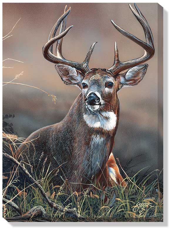 579x780 Directionsweb Fn Webcart Zoomimage.phpimg - Whitetail Buck Painting