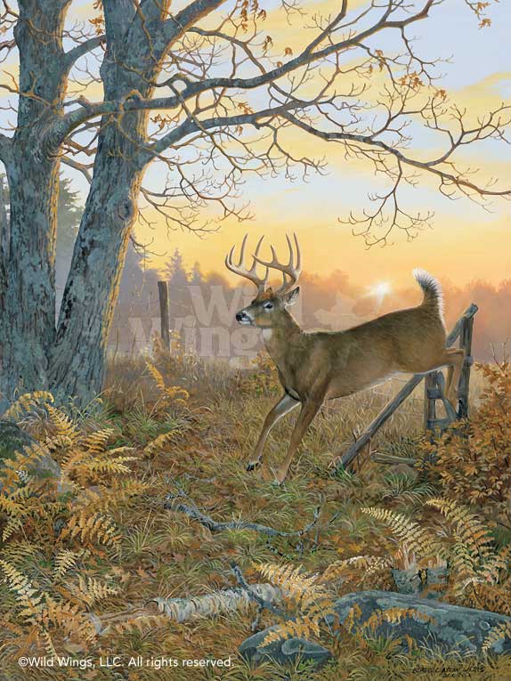 574x765 Sunrise Retreat Whitetail Deer Original Acrylic Painting Wild Wings - Whitetail Deer Painting