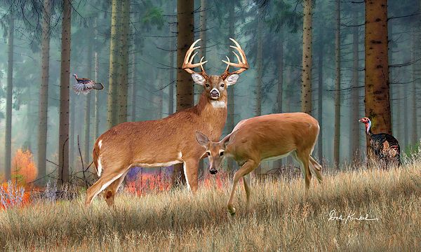 600x360 Whitetail Deer Art - Whitetail Deer Painting