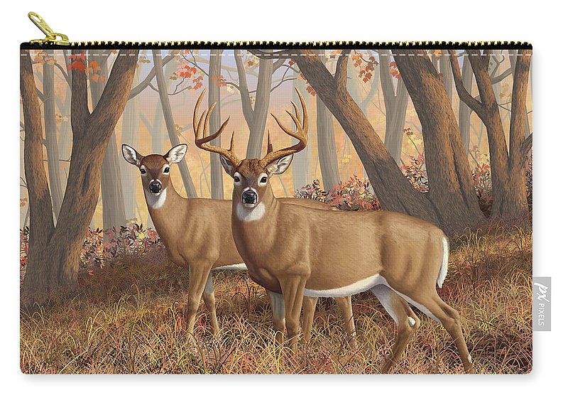 800x570 Whitetail Deer Painting - Whitetail Deer Painting