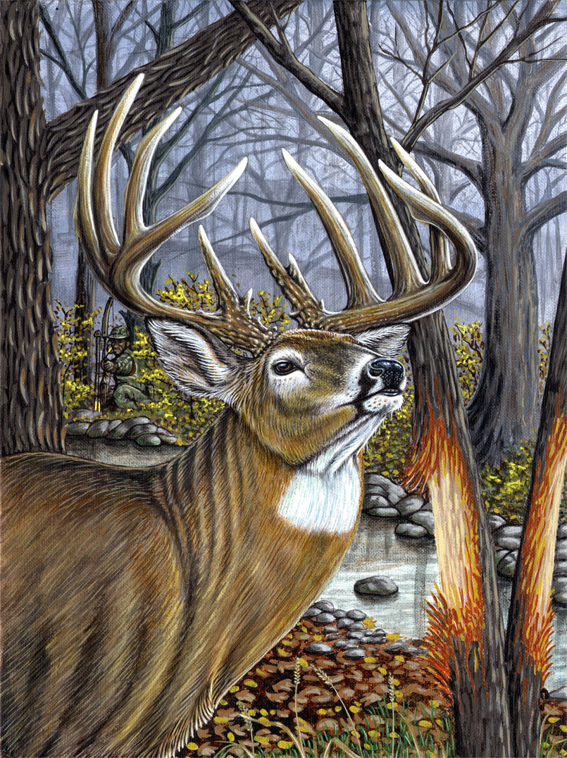 805x1076 Whitetail Painting Direct Impulse Design - Whitetail Deer Painting