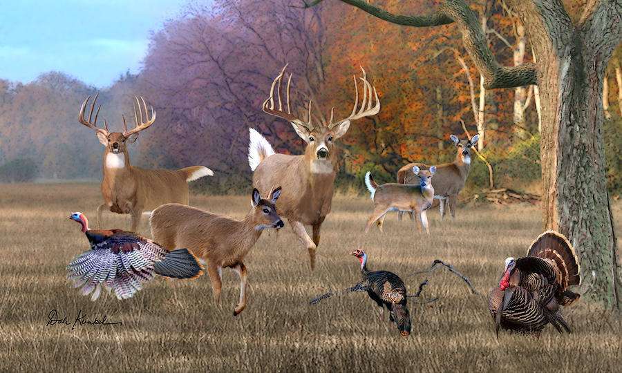 900x540 Brian - Whitetail Deer Painting