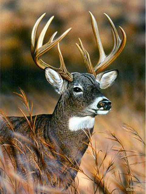 480x640 Diy 3d Diamond Painting Cross Stitch Art Icon Home Decoration Full - Whitetail Deer Painting