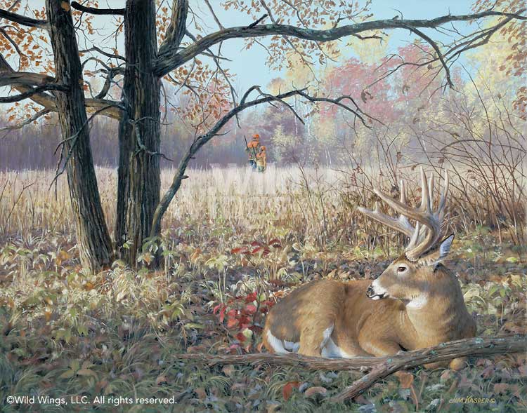 750x589 Deer Original Wildlife Painting Hold Tight By Jim Kasper Wild Wings - Whitetail Deer Painting