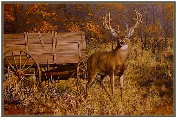 610x410 Fred W. Thomas - Whitetail Painting