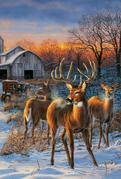 236x349 Rural Route Whitetail Deer 1000 Piece Puzzle - Whitetail Painting