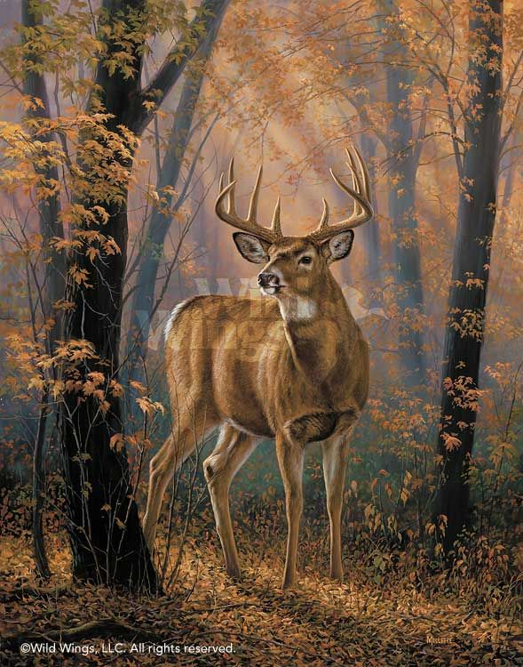 589x750 The 170 Best Deer Paintings Images On Deer, Wildlife - Whitetail Painting