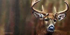 300x149 Whitetail Deer Head Painting Wildlife Cottage Cabin Lodge Artwork - Whitetail Painting