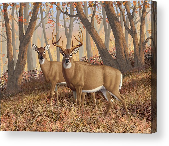 666x575 Whitetail Deer Painting - Whitetail Painting