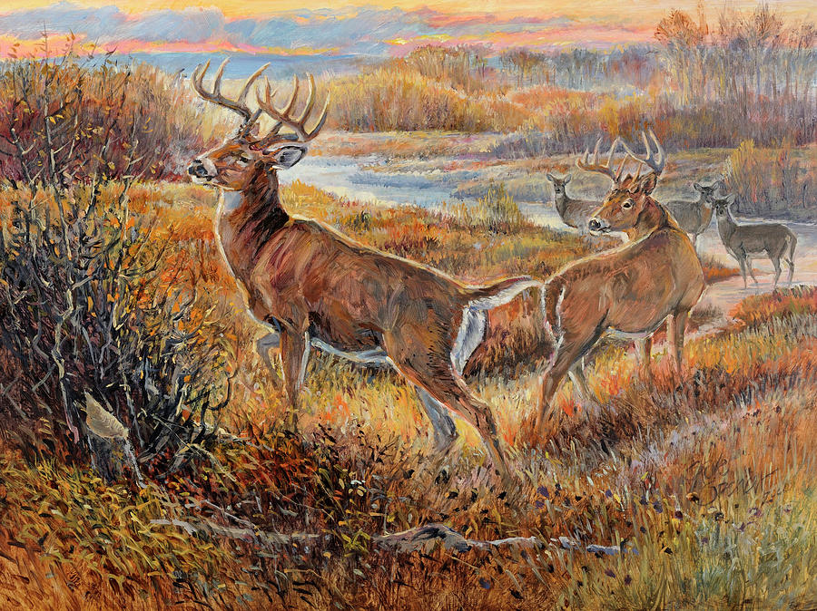 900x674 Whitetail Sunrise Painting By Steve Spencer - Whitetail Painting