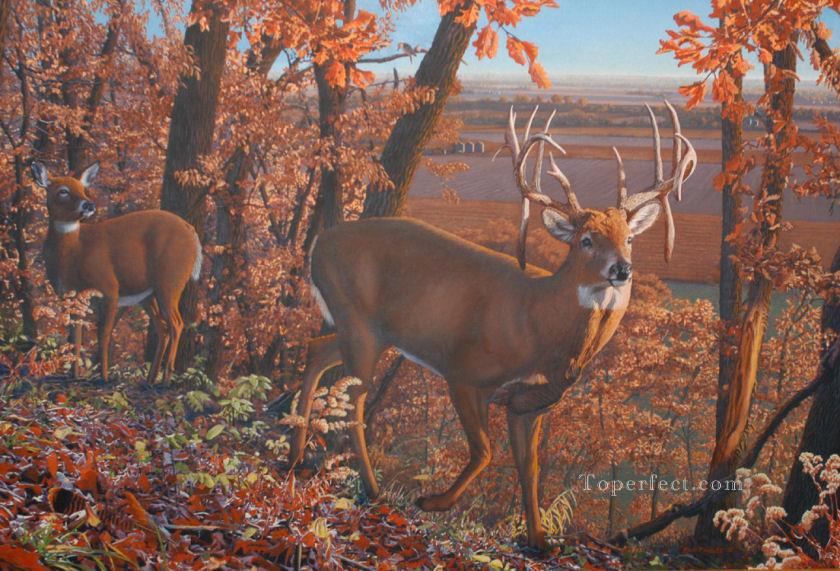 840x571 Wishful Thinking Whitetail Painting In Oil For Sale - Whitetail Painting